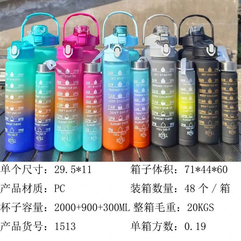 Facotry Wholesale 2pc 3 in 1 4 in 1 Botella Agua Alone 800ml 2L 300ML Termos Gym Set With Straw