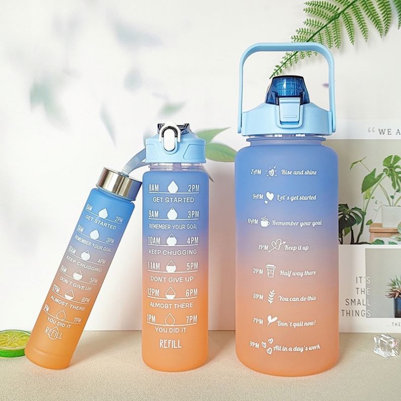 Facotry Wholesale 2pc 3 in 1 4 in 1 Botella Agua Alone 800ml 2L 300ML Termos Gym Set With Straw