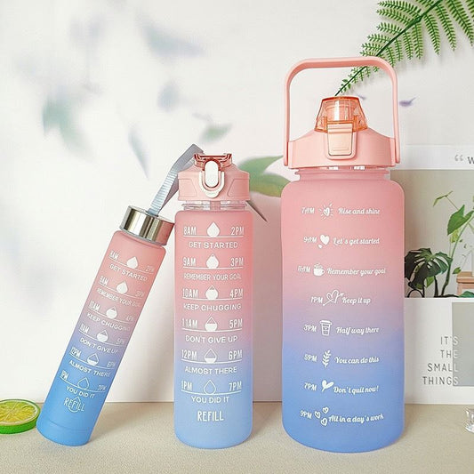 Facotry Wholesale 2pc 3 in 1  4 in 1 Botella Agua Alone 800ml 2L 300ML Termos Gym Set With Straw
