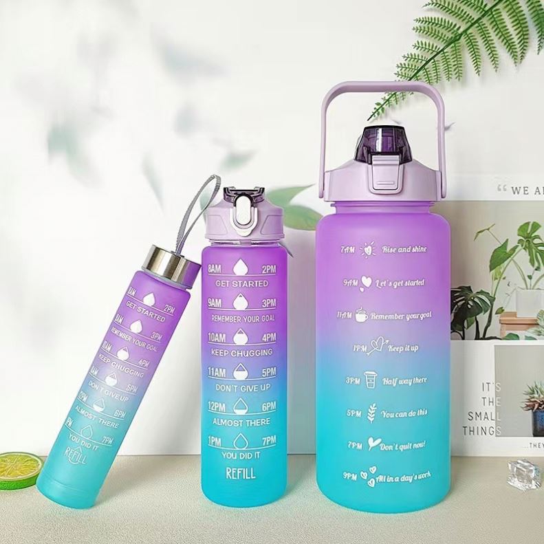 Facotry Wholesale 2pc 3 in 1  4 in 1 Botella Agua Alone 800ml 2L 300ML Termos Gym Set With Straw